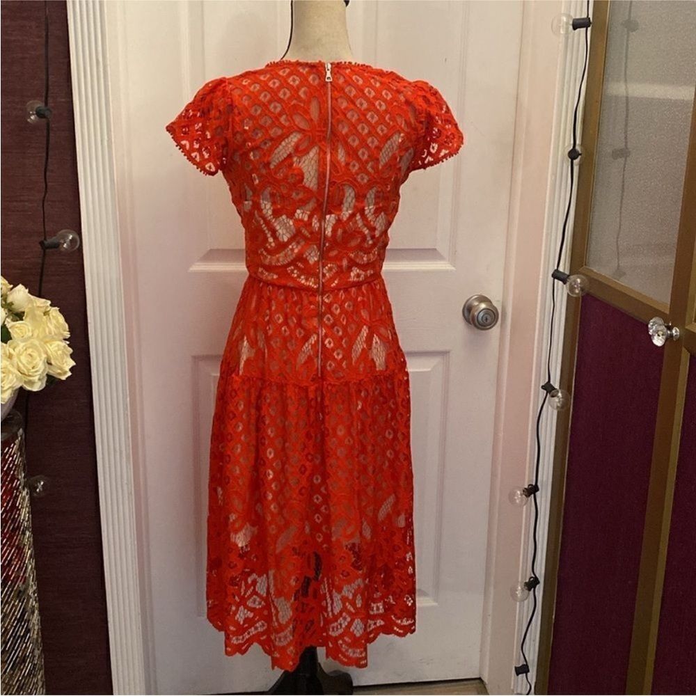 Parker Vibrant Red Lace Midi Dress, S - Picture 9 of 12